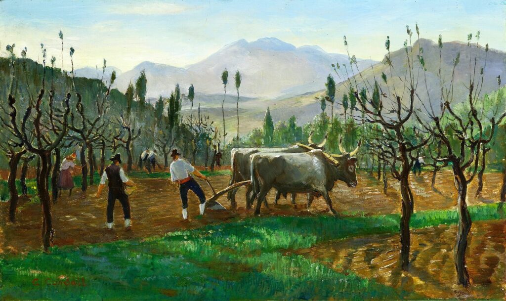 Charles Cundall - Italian Vineyard