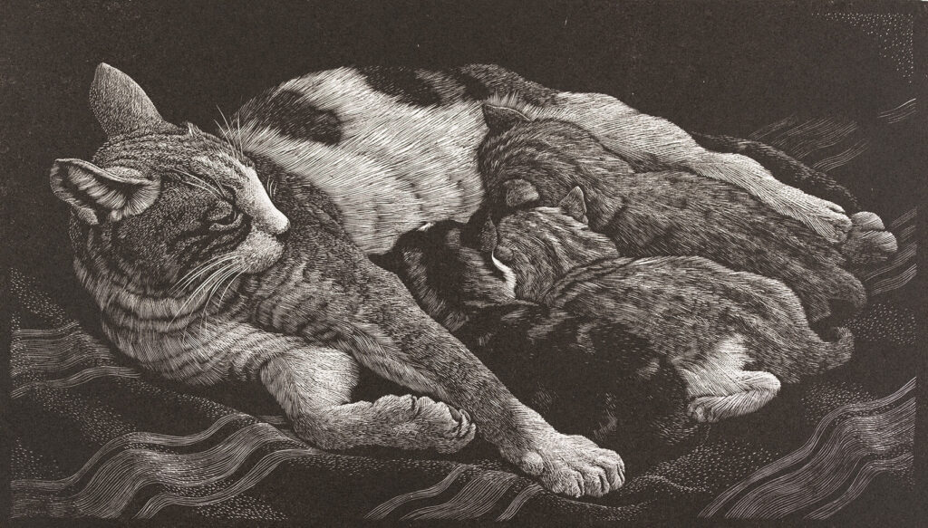 Charles Frederick Tunnicliffe R.A. - Cat and Kittens