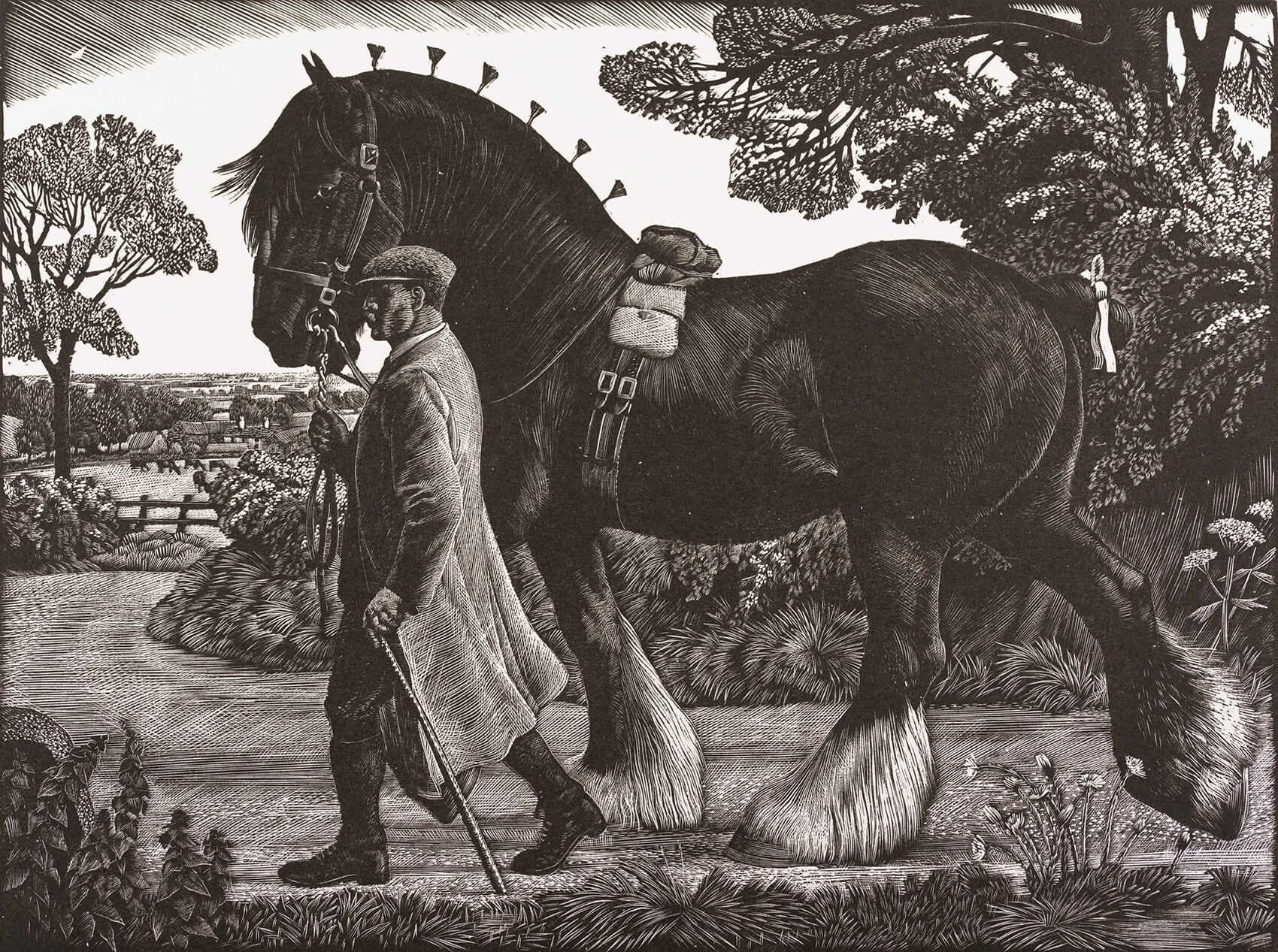 Charles Frederick Tunnicliffe R.A. - The Shire Stallion