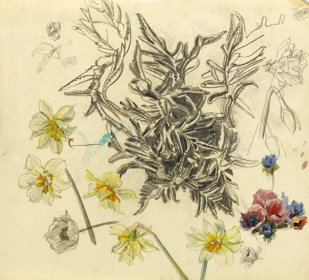 Charles Mahoney - A sheet of flower studies with anemones