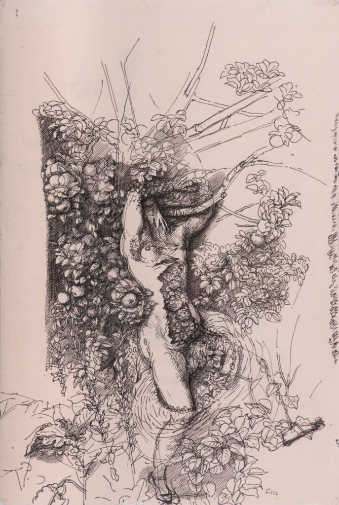 Charles Mahoney - Daphne