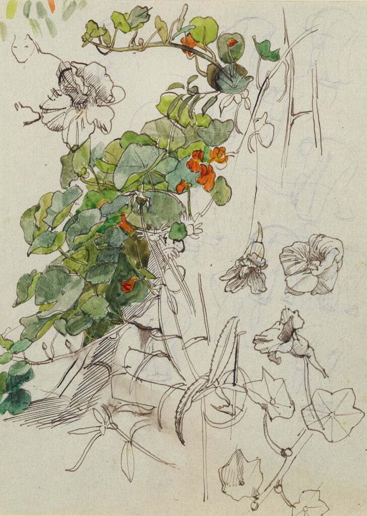 Charles Mahoney - Gourd