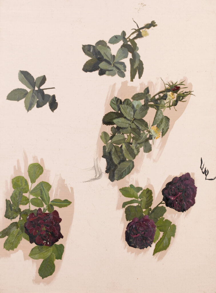 Charles Mahoney - Lenten Roses