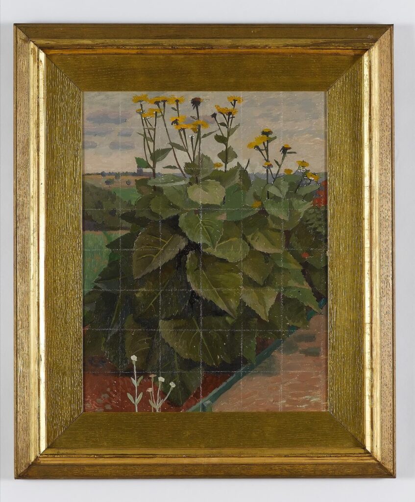 Charles Mahoney - Study for Wild Sunflowers