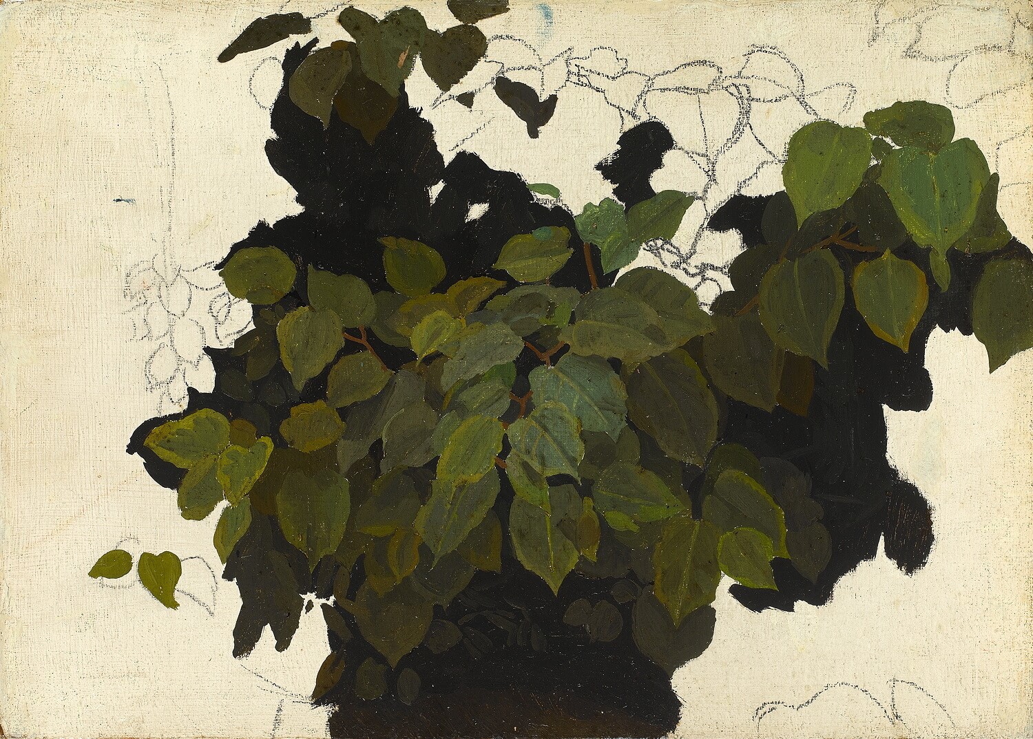 Charles Mahoney - Study of Foliage