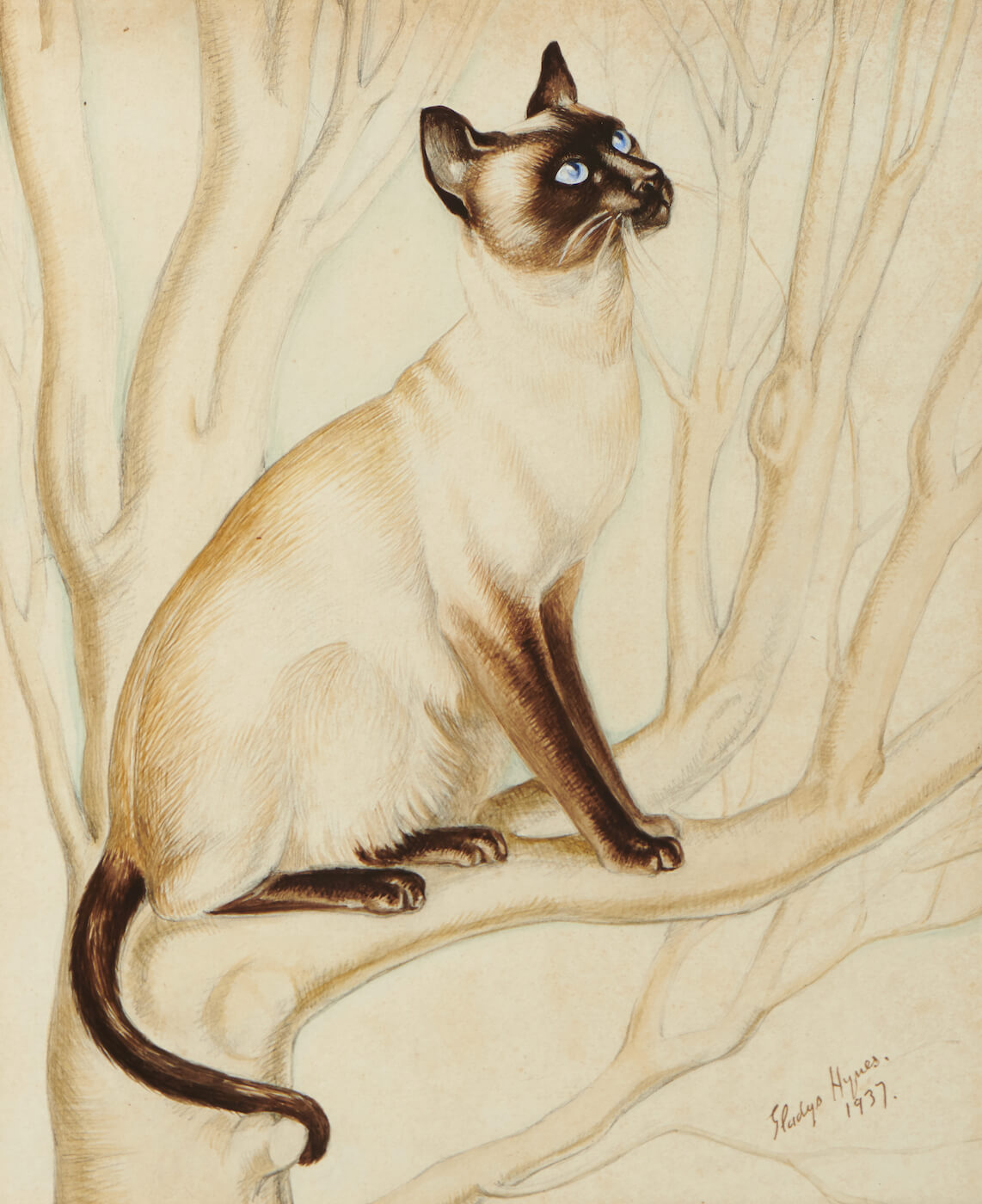 Gladys Hynes - Siamese Cat in a Tree