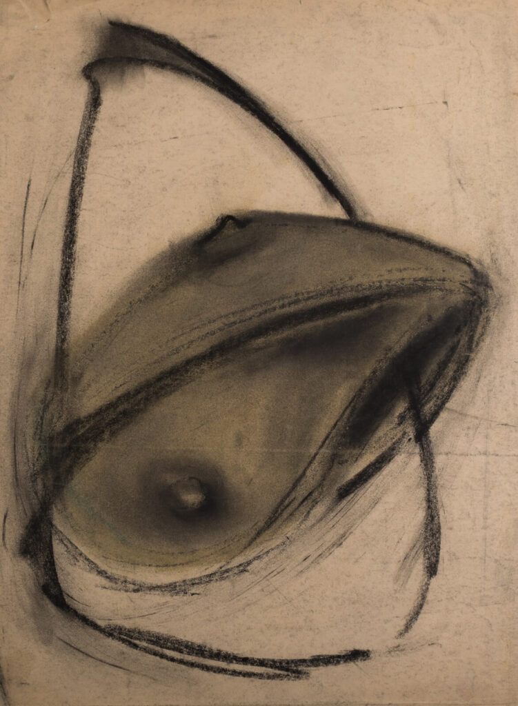 John Tunnard - Meteorite