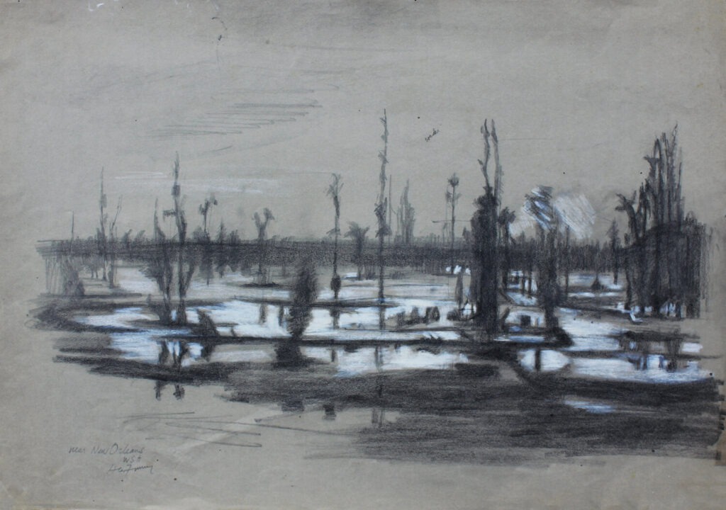 Near New Orleans from the train, USA