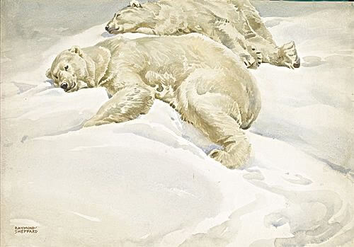 Raymond Sheppard - Polar Bears