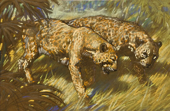 Raymond Sheppard - Two Leopards Courting - circa 1950