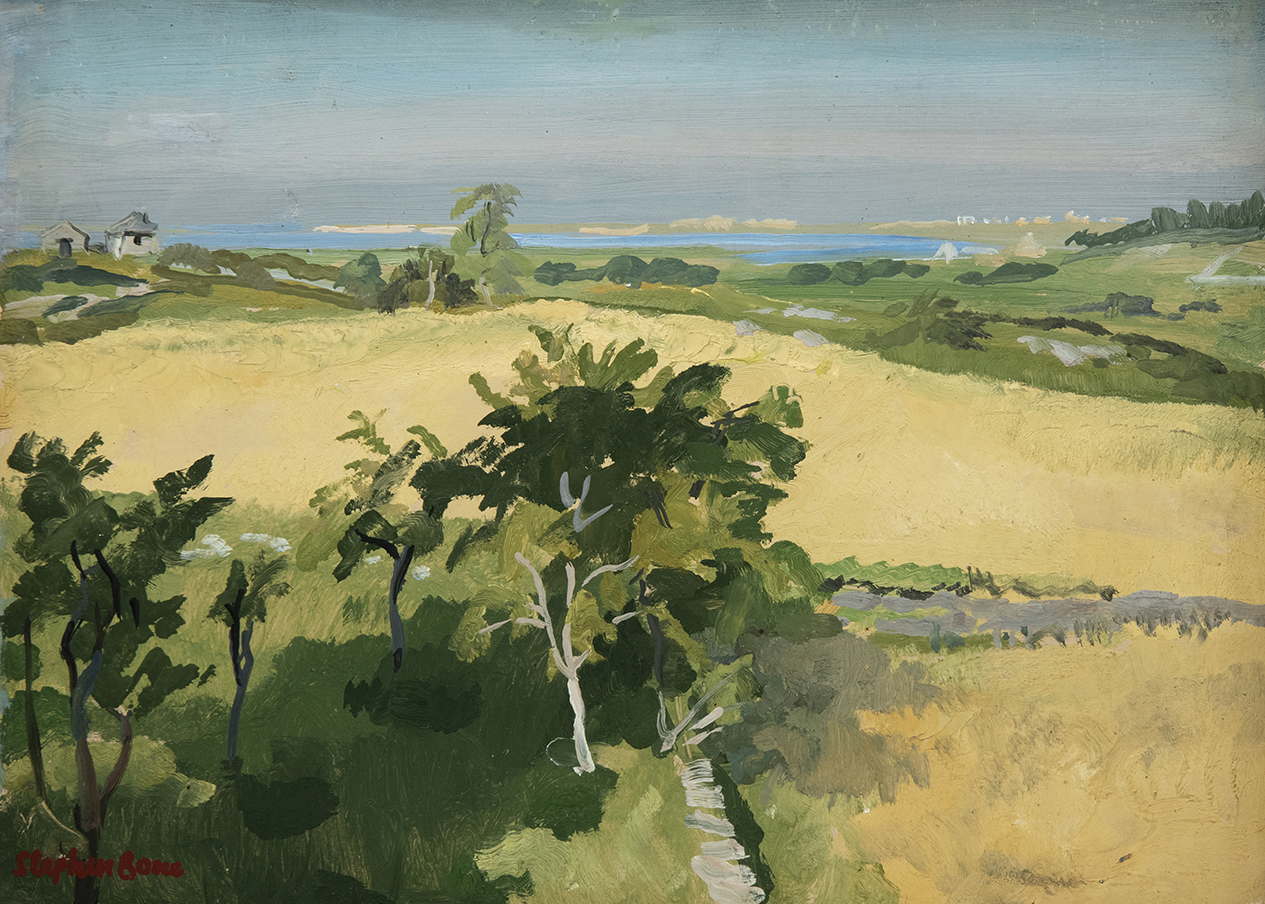 View over a coastal field with estuary beyond by Stephen Bone